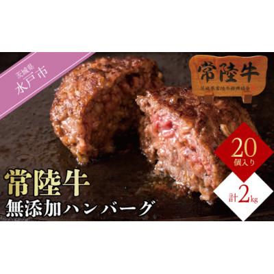 ふるさと納税 水戸市 常陸牛 ハンバーグ 100g 20個セット