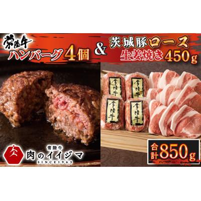ふるさと納税 水戸市 ハンバーグ100g 4個 &amp; 豚ロース 生姜焼き 450g 合計850g