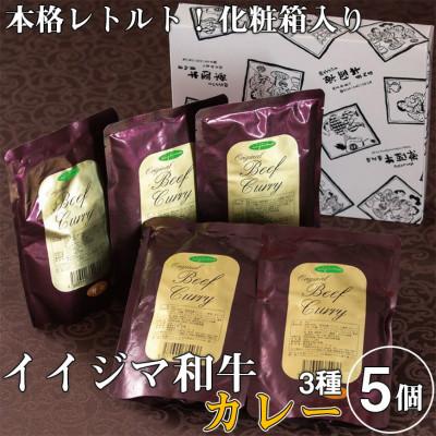 ふるさと納税 水戸市 イイジマ和牛カレー 3種 5袋入り