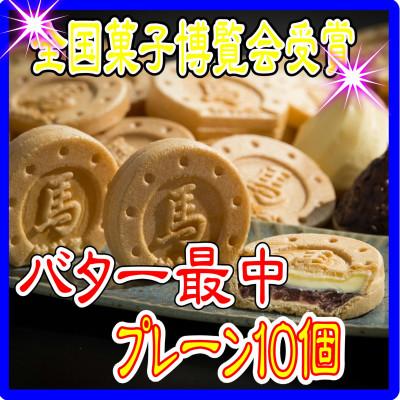 ふるさと納税 相馬市 バター最中 10個入×1箱