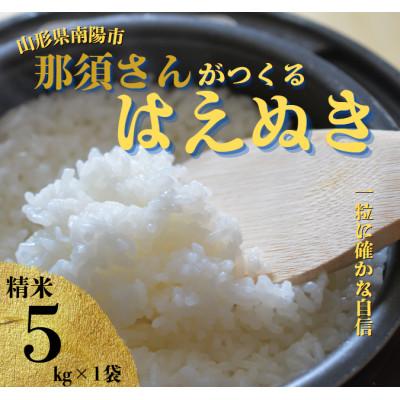 ふるさと納税 南陽市 [令和7年産] 山形県産[はえぬき]精米 5kg(5kg×1袋)[S2563]