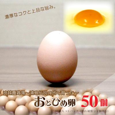 ふるさと納税 三豊市 新鮮[おとひめ卵]〜父母ヶ浜の夕日〜たまご50個(45個+割れ補償5個)