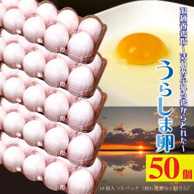 ふるさと納税 三豊市 新鮮[うらしま卵]〜竜宮からの贈りもの〜たまご50個(45個+割れ補償5個)