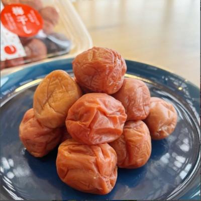 ふるさと納税 おおい町 うめっぽの梅干600g (300g×2) セット 福井県おおい町産梅使用
