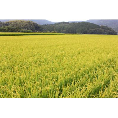 ふるさと納税 北九州市 《無洗米》【令和7年産】【食味鑑定士厳選】福岡県産 夢つくし20kg(5kg×4袋)(北九州市)の画像