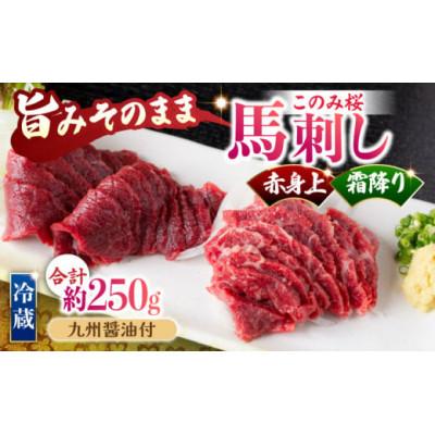 ふるさと納税 うきは市 このみ桜赤身上&amp;霜降りセット(うきは市) U050