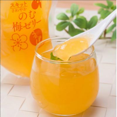 ふるさと納税 おおい町 うめっぽの完熟梅ゼリー9本セット 福井県おおい町産梅使用