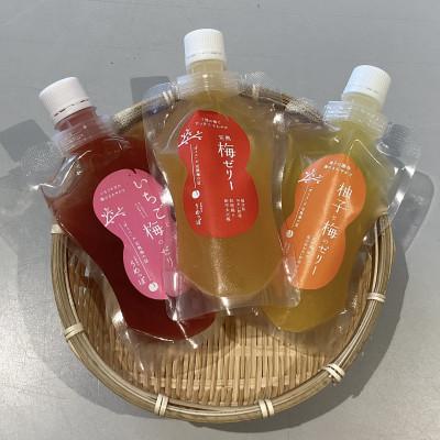 ふるさと納税 おおい町 うめっぽのゼリー3種セット9本入り 福井県おおい町産梅使用