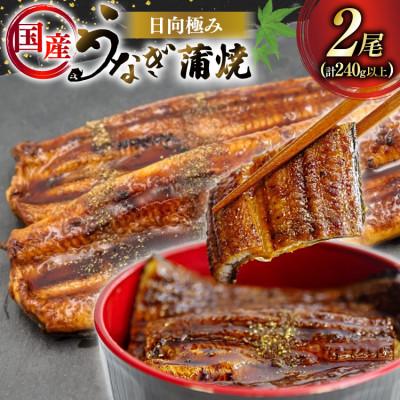 ふるさと納税 日向市 日向極みうなぎ蒲焼2尾(計約240g以上)