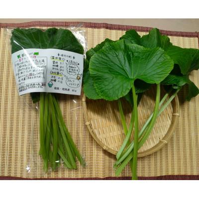 ふるさと納税 相馬市 相馬わさびセット小(葉 85g入×3パック 根茎 約35g×2本)