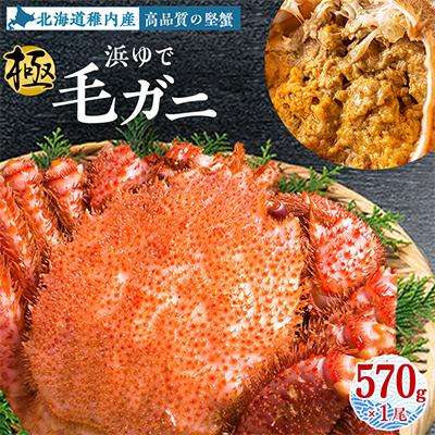 ふるさと納税 稚内市 [稚内産・極] 浜茹で毛ガニ(堅蟹) 570g×1尾