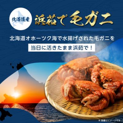 ふるさと納税 斜里町 北海道産 浜茹で毛ガニ 570g前後×2尾 : Yahoo