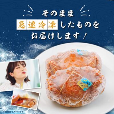 ふるさと納税 斜里町 北海道産 浜茹で毛ガニ 570g前後×2尾 : Yahoo