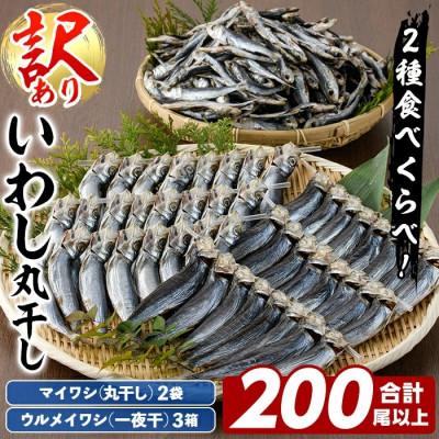 ふるさと納税 阿久根市 訳あり! 阿久根市産 真イワシ 丸干しセット 計約200尾[鈴木海産]akn091-03