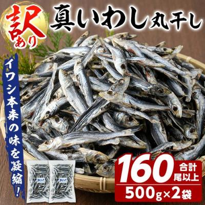 ふるさと納税 阿久根市 訳あり! 阿久根市産 真イワシ 丸干し&lt;めざし&gt; 計約160尾 [鈴木海産]akn091-02