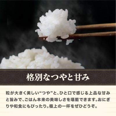 ふるさと納税 尾花沢市 【先行受付】令和8年産 新米 玄米 つや姫 10kg 山形県尾花沢市産 ja-tsgxb10 |  | 02