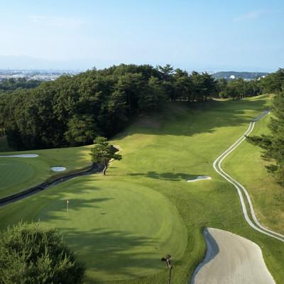 ふるさと納税 本庄市 埼玉県 こだまゴルフクラブ ゴルフ場利用券 6,000円券 平日 土日 祝日