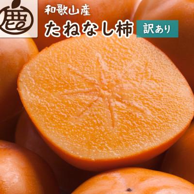 ふるさと納税 美浜町 家庭用 たねなし柿1kg[訳あり][刀根早生・平核無柿(ひらたねなしかき)][カキ・種無し柿]