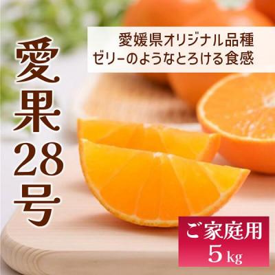 ふるさと納税 伊予市 [先行予約 12月以降順次発送予定]数量限定 家庭用 愛果28号 約5kg|C57