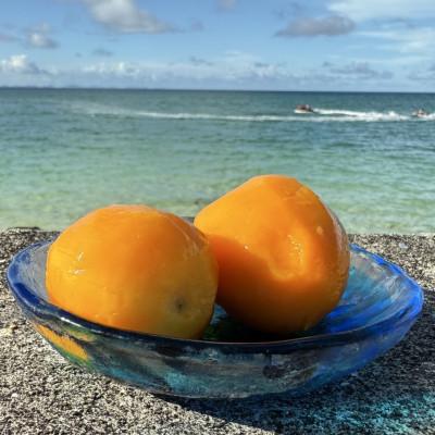 ふるさと納税 今帰仁村 [数量限定・瞬間冷凍]仲本マンゴー園の完熟ミニマンゴー300g〜400g×3袋