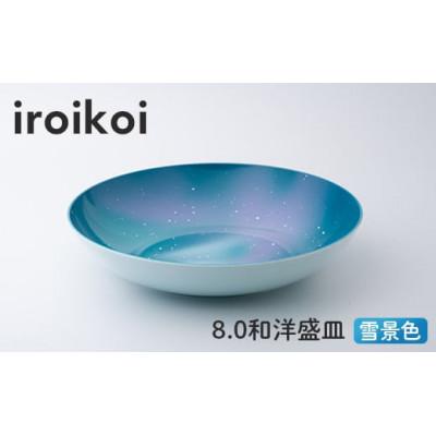 ふるさと納税 加賀市 iroikoi 8.0 和洋盛皿 雪景色