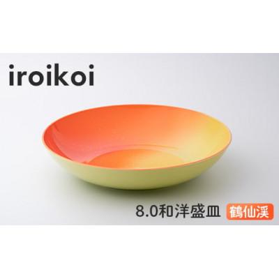 ふるさと納税 加賀市 iroikoi 8.0 和洋盛皿 鶴仙渓