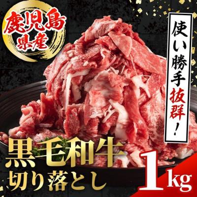 ふるさと納税 出水市 鹿児島県産 黒毛和牛 切り落とし 計1kg(500g×2P)[スターゼン](出水市)