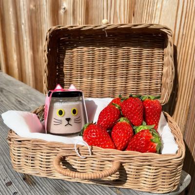 いちごプリンねこチャンとドーナツと苺　チャーム ふるさと納税 丹波篠山市 いちごプリン いちごちゃん6個セット : Yahoo