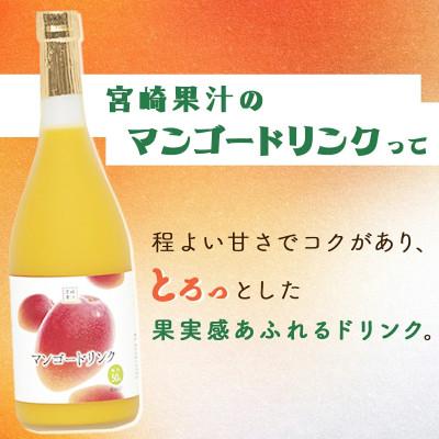 ふるさと納税 串間市 宮崎果汁　マンゴードリンク2本セット(720ml×2本) |  | 01
