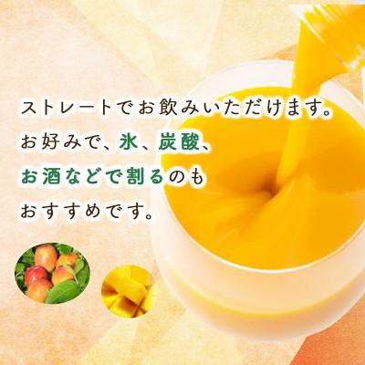 ふるさと納税 串間市 宮崎果汁　マンゴードリンク2本セット(720ml×2本) |  | 03