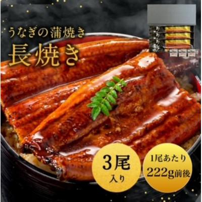 ふるさと納税 大川市 うなぎ蒲焼222g×3尾(大川市)
