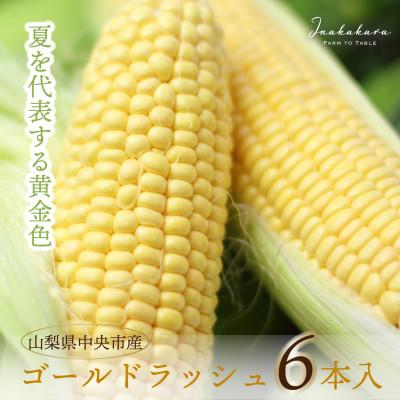 ふるさと納税 中央市 中央市産 Inakakara ゴールドラッシュ 6本入り