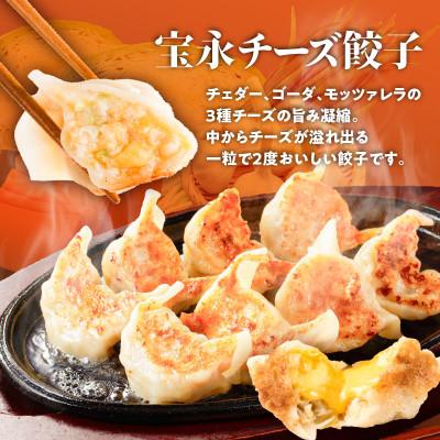 ふるさと納税 苫小牧市 手包み餃子ぎょうざの宝永 チーズ餃子60個セット(宝永餃子15個入×2袋・チーズ餃子15個入×2袋) |  | 02