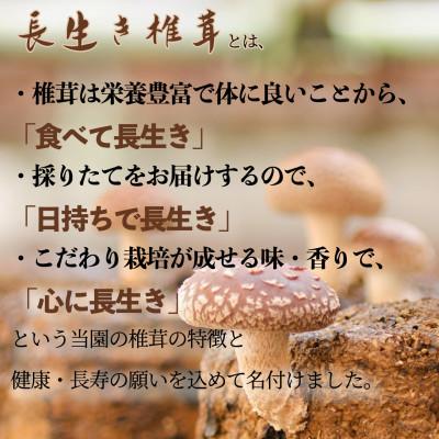 ふるさと納税 佐倉市 焼いて塩だけでも美味!「肉厚」長生き椎茸800g(24〜34枚)×1パック |  | 02