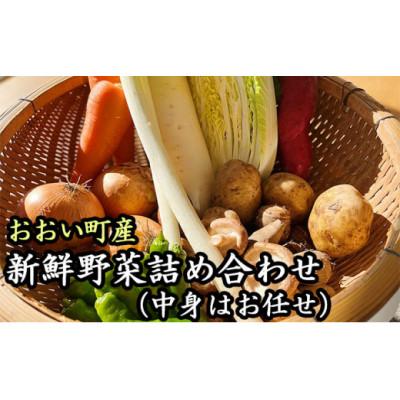 ふるさと納税 おおい町 福井県おおい町産 新鮮野菜おすすめ詰め合わせ 約10種類