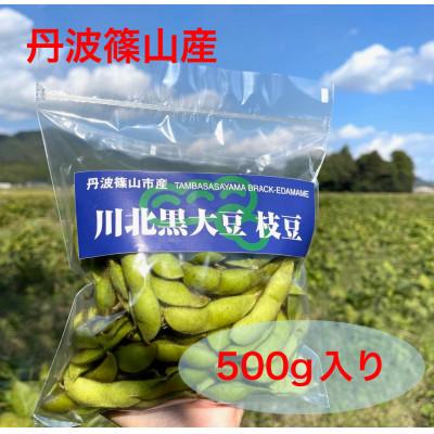 ふるさと納税 丹波篠山市 川北黒大豆枝豆・丹波黒煮豆のセット | 