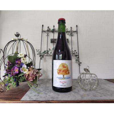 ふるさと納税 塩尻市 ヴォータノワイン醸造 TAMAI wine ピノノワール(樽熟)