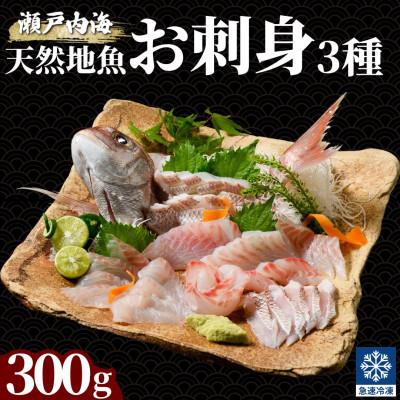 ふるさと納税 竹原市 漁協直送!瀬戸内海 天然地魚 お刺身 3種セット 300g[急速凍結 小分け 骨取り]