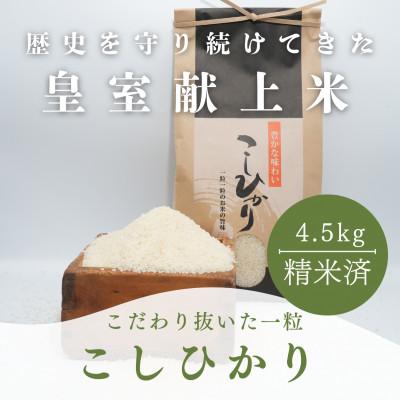 ふるさと納税 能美市 [令和7年度産]お米農家直送 石川県産コシヒカリ 4.5kg