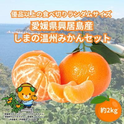 ふるさと納税 松山市 愛媛県興居島産 優品以上ランダムサイズ 約2kg しまの温州みかん
