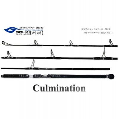 ふるさと納税 茅ヶ崎市 剛樹 カルミネイション CTG ML8.1ft (CLM CTG ML 8.1ft)