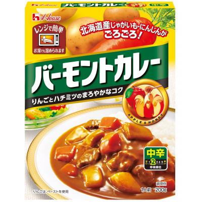 ふるさと納税 江南市 ハウス バーモントカレー 中辛 ×10個 レトルト食品 レンジ調理対応