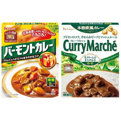 ふるさと納税 江南市 ハウス バーモントカレー 中辛 &amp; カレーマルシェ 中辛 各10個 レトルト食品