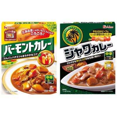 ふるさと納税 江南市 ハウス バーモントカレー 中辛 &amp; ジャワカレー 中辛 各10個 レトルト食品