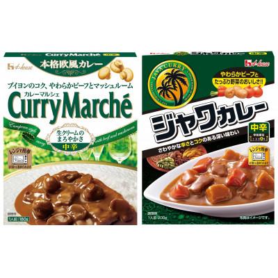 ふるさと納税 江南市 ハウス カレーマルシェ 中辛 &amp; ジャワカレー 中辛 各10個 レトルト食品