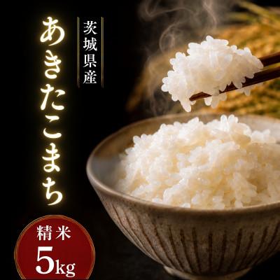 ふるさと納税 かすみがうら市 令和8年産 新米 あきたこまち 精米 5kg | お米 あきた小町 茨城県かすみがうら市 | 
