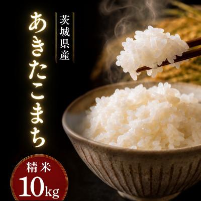 ふるさと納税 かすみがうら市 令和8年産 新米 あきたこまち 精米 10kg | お米 あきた小町 茨城県かすみがうら市 | 