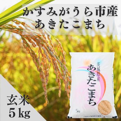 ふるさと納税 かすみがうら市 令和7年産かすみがうら市産あきたこまち 玄米 5kg