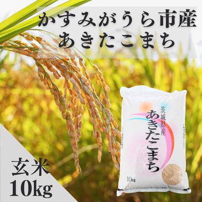 ふるさと納税 かすみがうら市 令和8年産 新米 あきたこまち 玄米 10kg | 米 あきた小町 茨城県かすみがうら市 | 