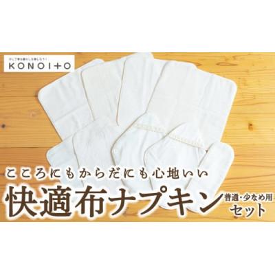ふるさと納税 うきは市 快適布ナプキンセット(普通・少なめ用) U032